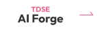 TDSE AI Forge